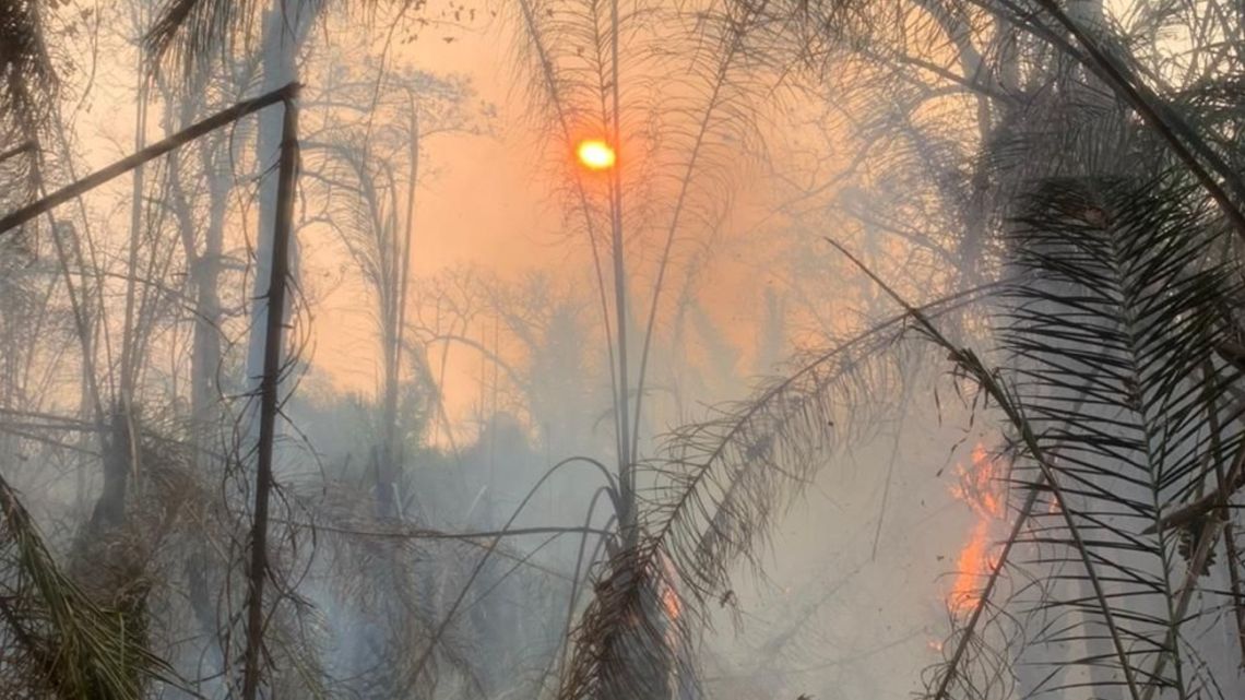 Fires have ripped through the Arara Azul blue macaw sanctuary in Brazil's Pantanal wetlands. The land was used to protect some of the world's last remaining blue macaws.