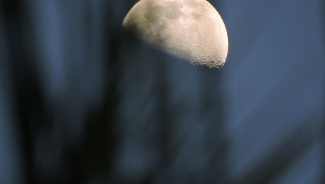 Luna de hoy en Capricornio, en su fase creciente