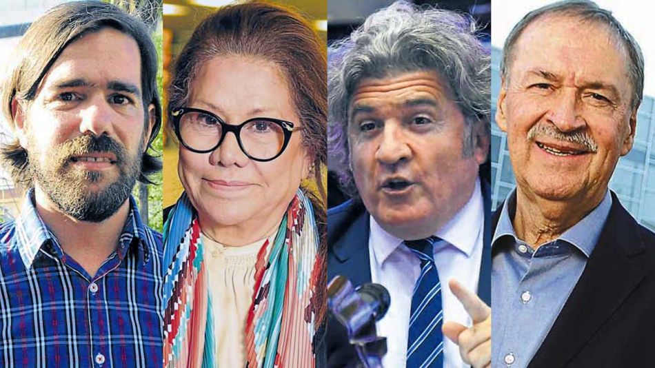 del_caño_camaño_schiaretti_ramon_cedoc