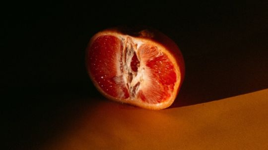 Mi vulva, ¿es normal? Animate a conocerla