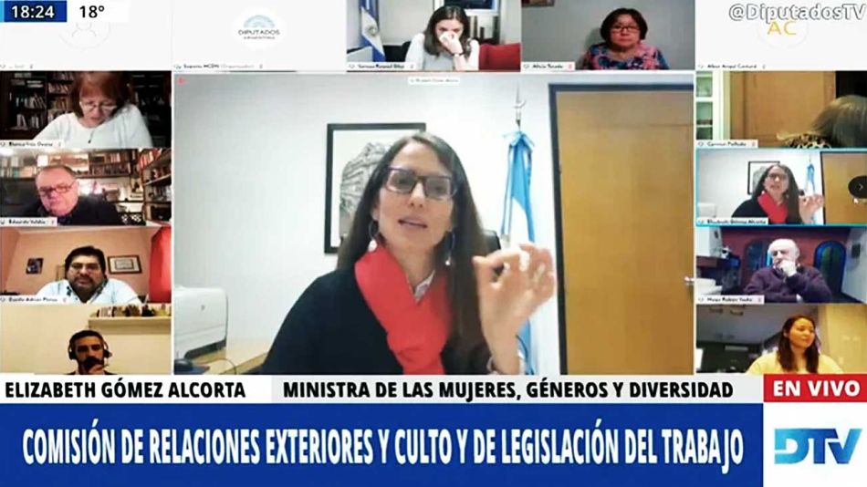 20200830_elizabeth_gomez_alcorta_mujeres_generos_diversidad_capturapanatalla_g