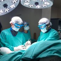 Dr. Martin Zamora