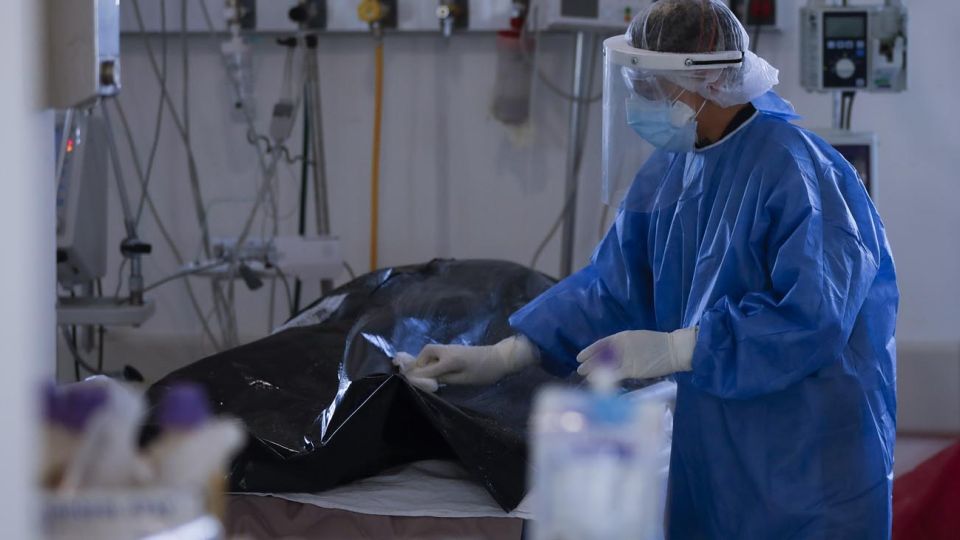 Médicos y personal de la salud.
