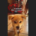Kika