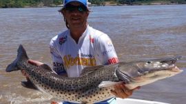 Goya vuelve a fase 3 tras detección de coronavirus.