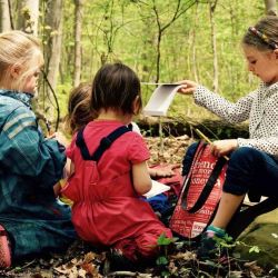 Al ser el bosque el aula, esta modalidad no requiere de una gran infraestructura.