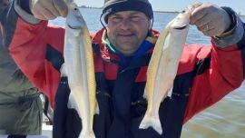 Así viene la pesca el primer fin de semana de septiembre