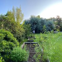 Así es el jardín soñado de la casa de Agustina Cherri
