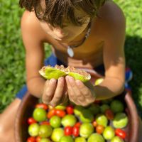 Así es el jardín soñado de la casa de Agustina Cherri