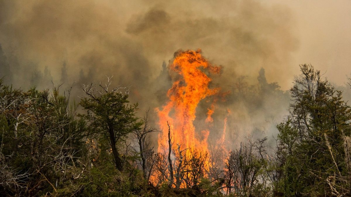Weekend | Preocupante: la Argentina es el segundo país con mayor número de  incendios forestales