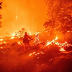 Un bombero trabaja en la escena mientras las llamas avanzan hacia las casas durante el incendio de Creek en el área de Cascadel Woods, California. | Foto:JOSH EDELSON / AFP