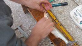 Un estudio demuestra qué relación hay entre pejerreyes y coronavirus.