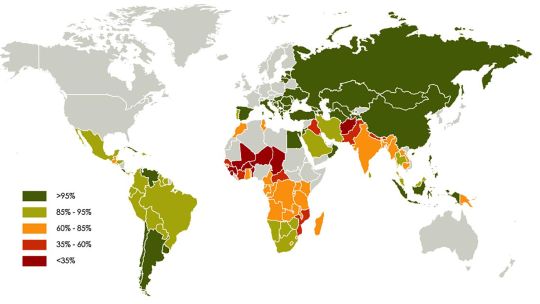 Alfabetizacion en el mundo
