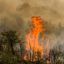 0907_incendiosforestales