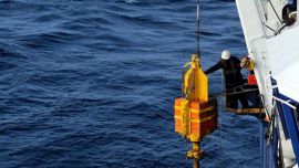 El descubrimiento fue realizado por el profesor de ciencias ambientales Marcelo Ketzer, junto a colegas franceses y brasileños de la Universidad de Linnaeus en Suecia.