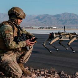 Por el momento, los perro robots están siendo usados por los militares norteamericanos para tareas secundarias.
