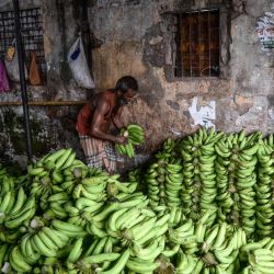 Un trabajador arregla bananas en un mercado mayorista en Daca. | Foto:Munir Uz Zaman / AFP