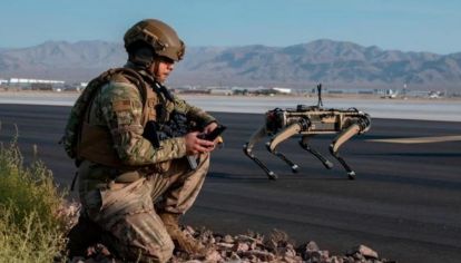 Por el momento, los perro robots están siendo usados por los militares norteamericanos para tareas secundarias.