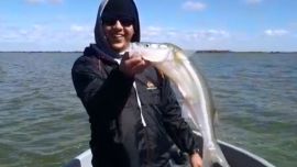 Matungos de 2,050 kh en Madariaga ¡Impresionante!