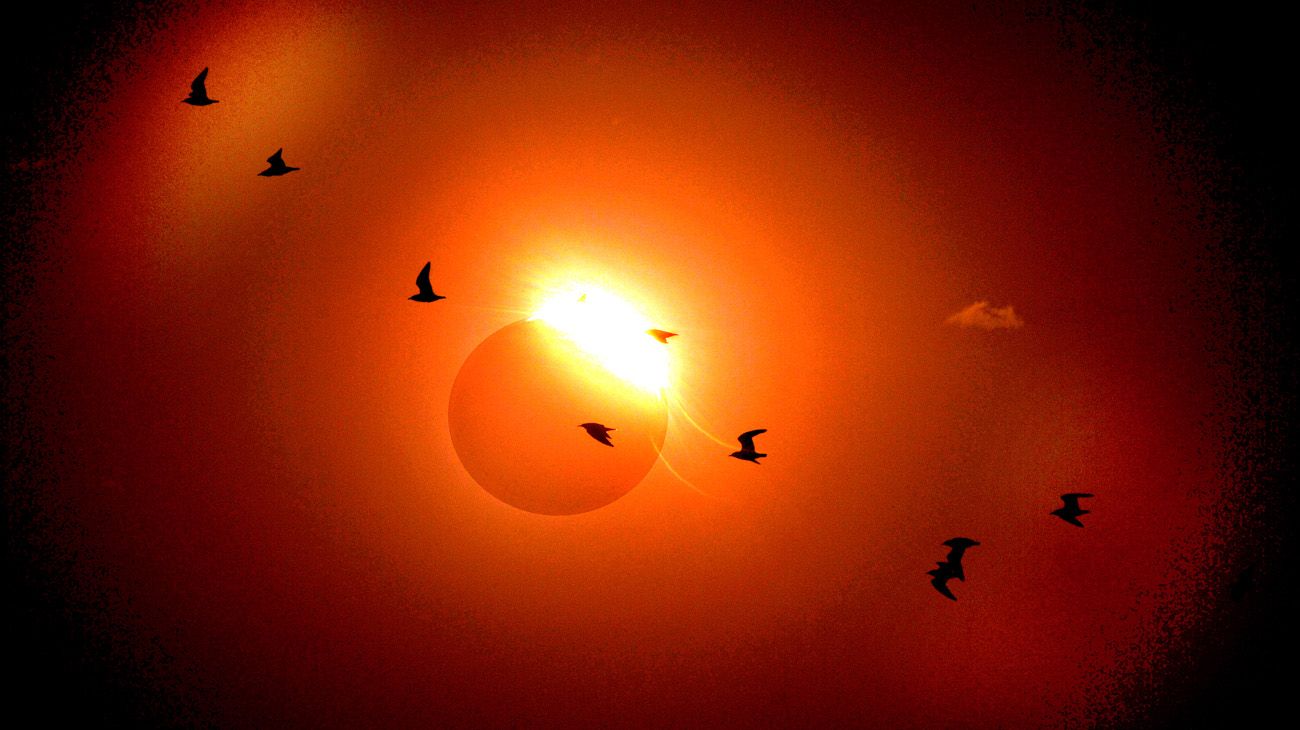 Diario Perfil, 15 años. Las mejores fotos de Juan Obregón.