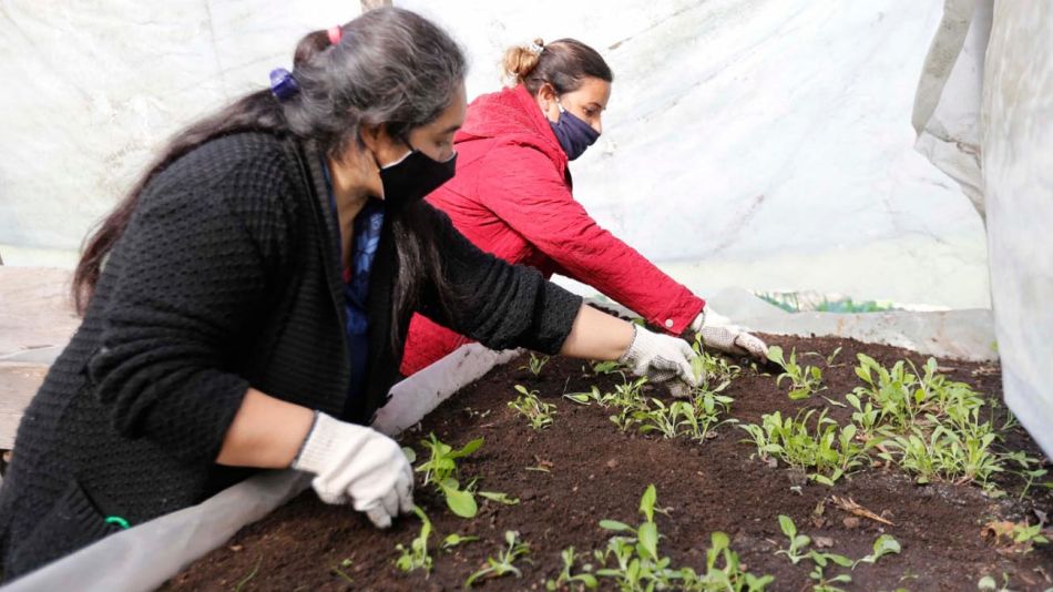 Renatep: la mayoría son mujeres