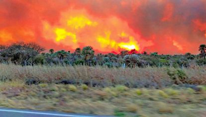 Promesa que no fue. Los eventos de los incendios plantean un realidad diferente a la que parecía surgir con la aparición del coronavirus.