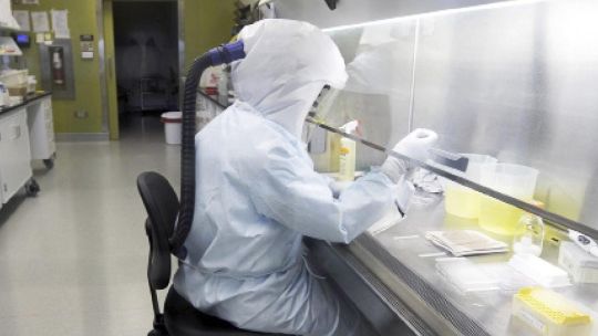 Etapas. La universidad británica es la sede de las pruebas de una de las vacunas en carrera. El incidente de esta semana está “dentro de la normalidad”, aseguraron.