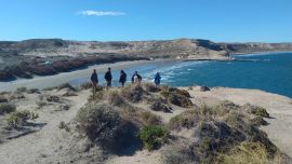 Se trata de un sendero que irá desde Puerto Pirámides hasta el asentamiento de lobos marinos de un pelo.