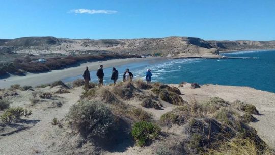 Se trata de un sendero que irá desde Puerto Pirámides hasta el asentamiento de lobos marinos de un pelo.