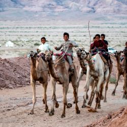 Camellos que llevan jinetes en la espalda, corren por una pista de tierra durante una carrera en el desierto del Sinaí del Sur de Egipto, después de más de seis meses de pausa debido al brote de coronavirus. | Foto:Khaled Desouki / AFP