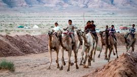 Camellos que llevan jinetes en la espalda, corren por una pista de tierra durante una carrera en el desierto del Sinaí del Sur de Egipto, después de más de seis meses de pausa debido al brote de coronavirus.
