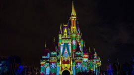 Walt Disney World sigue recibiendo miles de visitantes.
