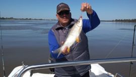 En Colón, Entre Ríos, las bogas picaron en punta.