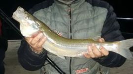 Desde la orilla, un lector pescó un pejerrey de 57 cm en el Río de la Plata