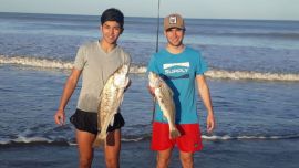 Las primeras corvinas rubias ya llegaron a la costa