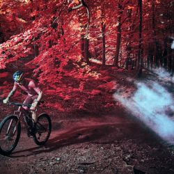 Con el paso de su mountainbike, el ciclista Simon Andreassen le da una apariencia única al bosque danés de Rude Skov.