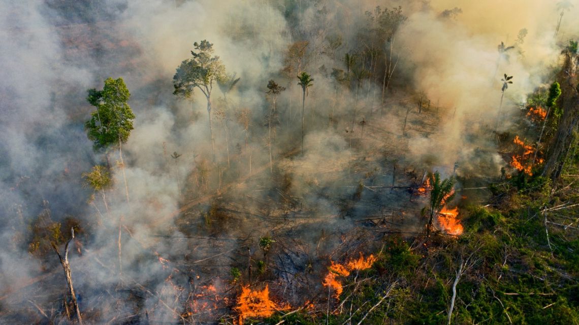 In this file picture taken on August 15, 2020, smoke and flames rise from an illegally lit fire in Amazon rainforest reserve, south of Novo Progresso in Para State, Brazil. 