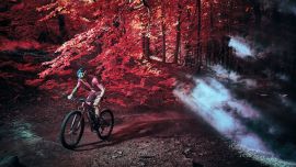 Con el paso de su mountainbike, el ciclista Simon Andreassen le da una apariencia única al bosque danés de Rude Skov.