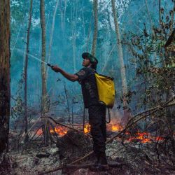 Un miembro de Forest Guardians combate los incendios en un área en llamas del bosque en Alto Río Guama, al este de Belem, Para, Brasil. | Foto:JOAO PAULO GUIMARAES / AFP