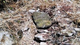 El INAH ya había alertado sobre una importante concentración arqueológica en la zona por la que pasaría el tren, la cual consta de alrededor de 1.773 sitios arqueológicos.