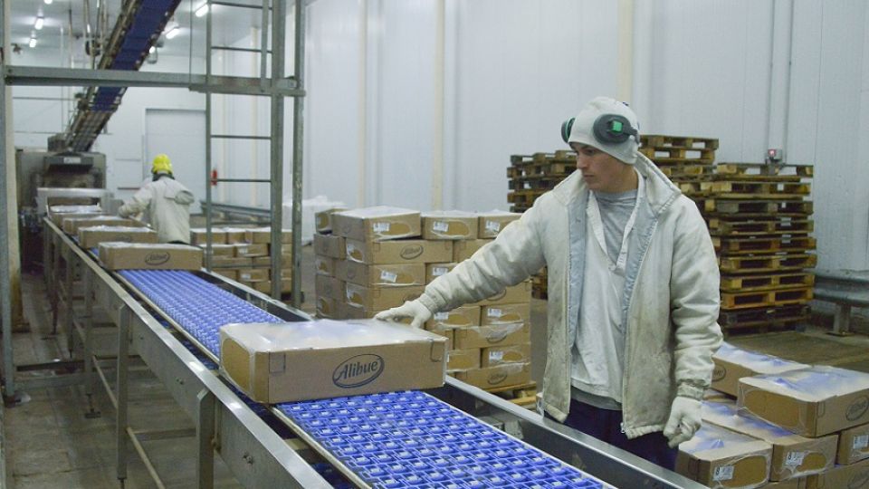 Trabajador avícola.