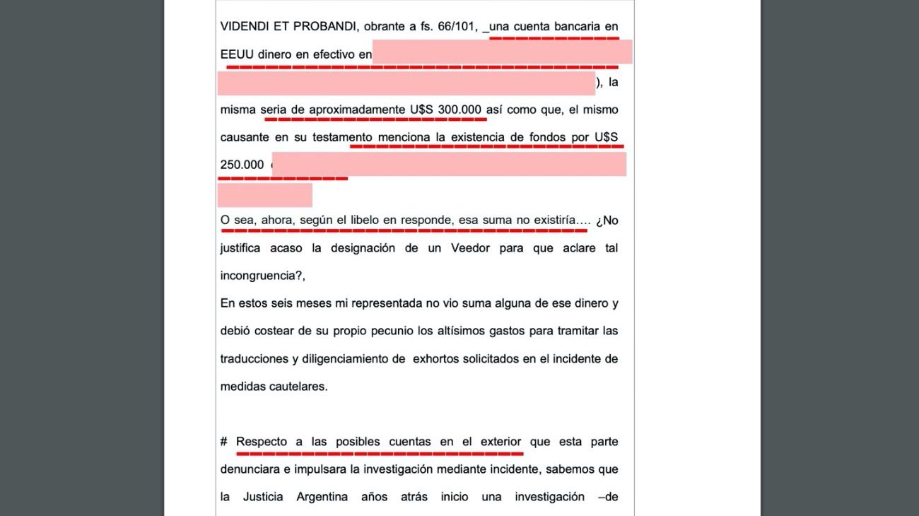 Fragmentos del escrito donde se argumenta la importancia de un veedor externo, parte de la cuestión de las acciones de La Nación, y del cierto dinero en el exterior.