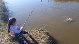 Las tarariras ya están en las zanjas, y los chicos no las desaprovechan