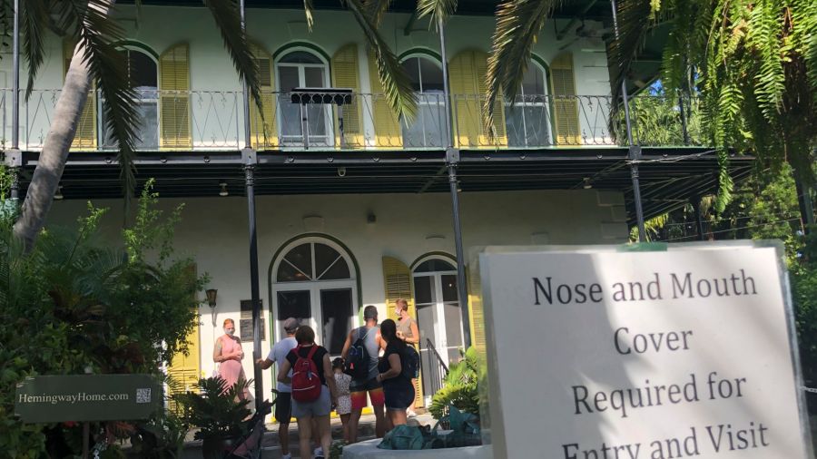 La gran atracción de la casa de Hemingway son los gatos