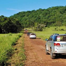 La caravana se adentra por rojizas sendas en lo profundo de la selva.