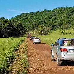 La caravana se adentra por rojizas sendas en lo profundo de la selva.