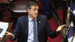 El senador Esteban Bullrich.