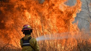 Incendios sin control en Córdoba.