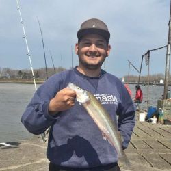 Cómo está la pesca esta semana en la Argentina