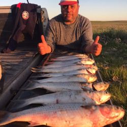 Cómo está la pesca esta semana en la Argentina